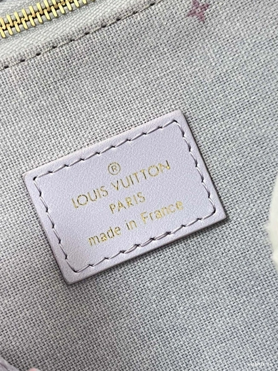 WIS LOUIS VUITTON PM ONTHEGO 0122